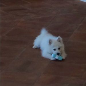 Meet your Posher, Tonya